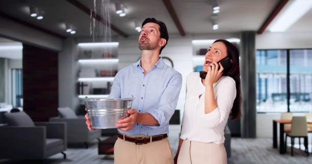 Carpet water damage restoration in New Brockton, AL